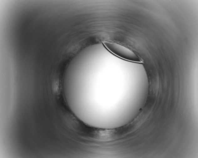 X0000089400134200706221124