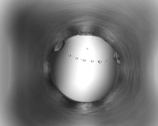 X0000089400135200706221124