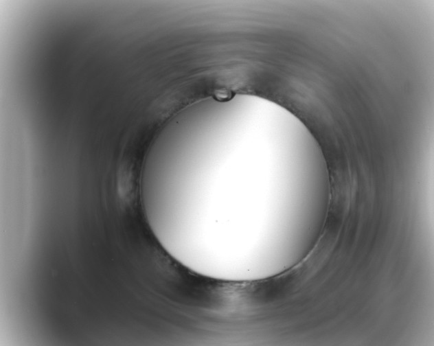 X0000089400136200706221124