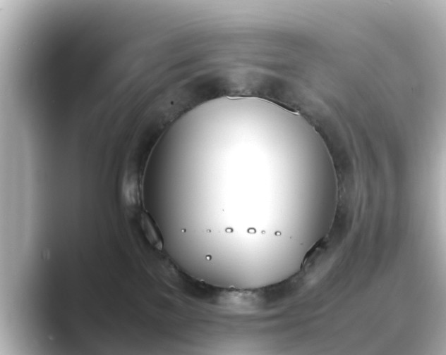 X0000089400137200706221124