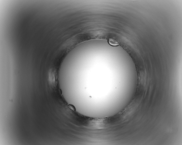 X0000089400138200706221124