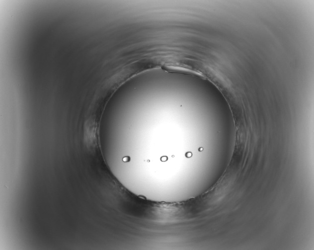 X0000089400141200706221124