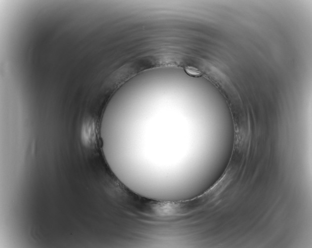 X0000089400142200706221124