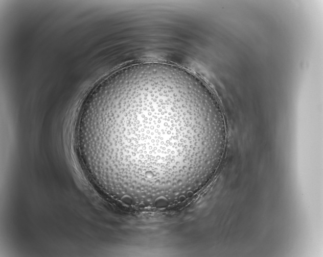 X0000089400145200706221123