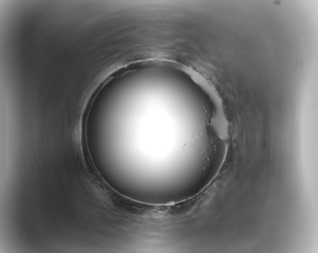 X0000089400148200706221123