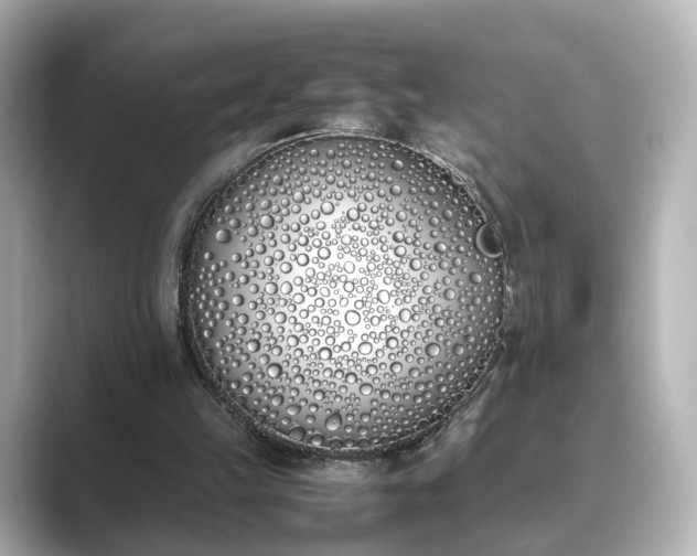 X0000089400149200706221123