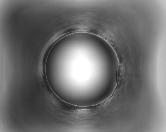 X0000089400150200706221123