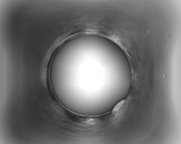 X0000089400151200706221123