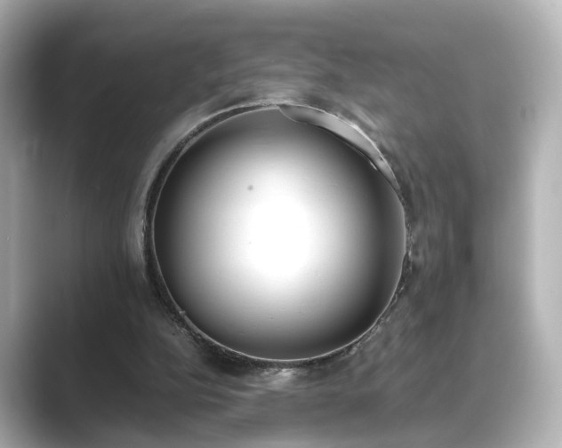 X0000089400152200706221123