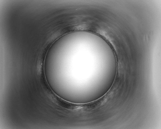 X0000089400153200706221123