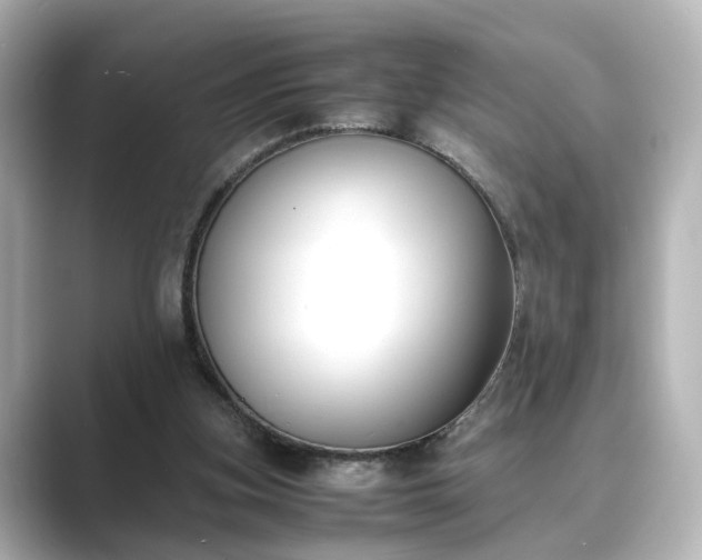 X0000089400155200706221123