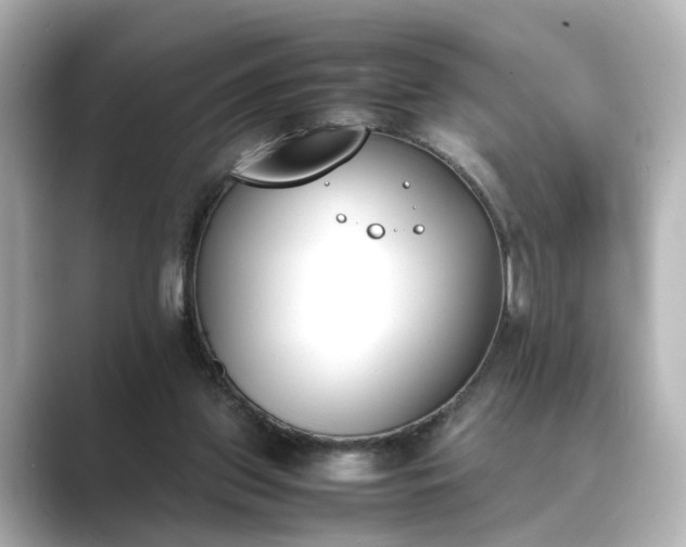 X0000089400157200706221124