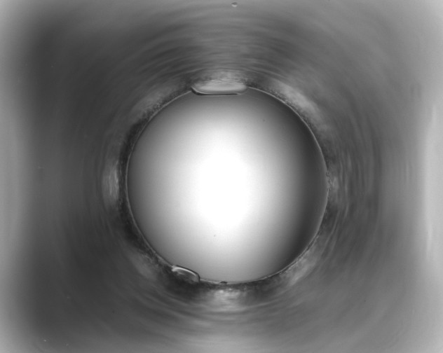 X0000089400158200706221124