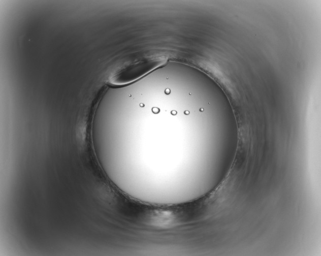 X0000089400159200706221124