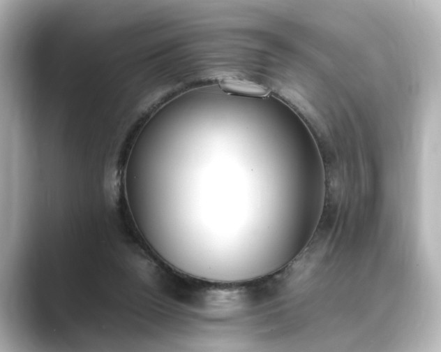 X0000089400160200706221124