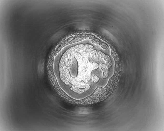 X0000089400163200706221124