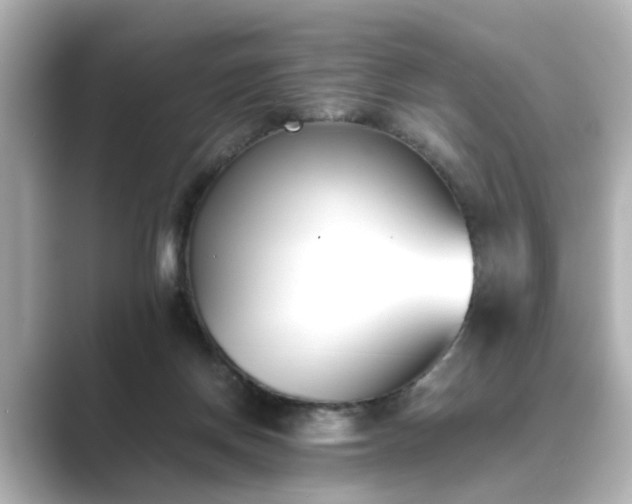 X0000089400166200706221124