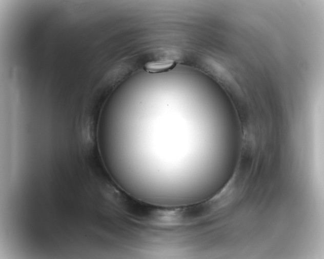 X0000089400170200706221124