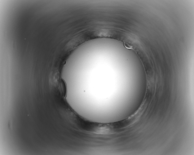 X0000089400175200706221124