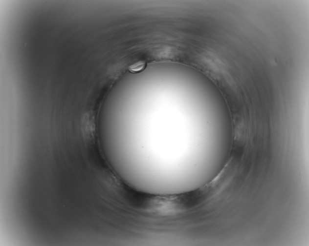 X0000089400179200706221124