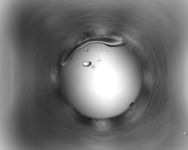 X0000089400181200706221124