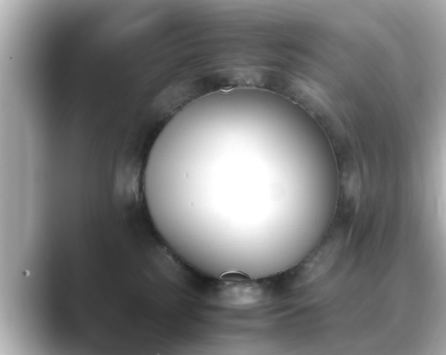 X0000089400185200706221124