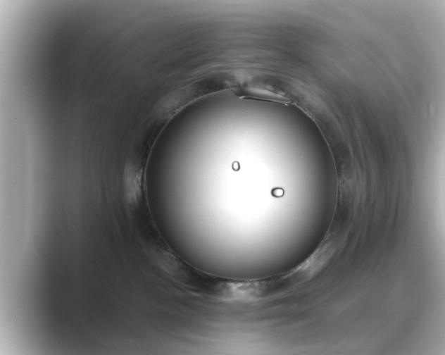 X0000089400188200706221124