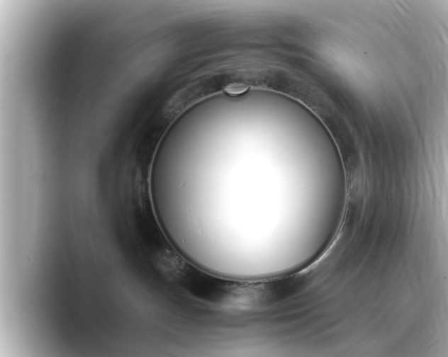 X0000089400191200706221124