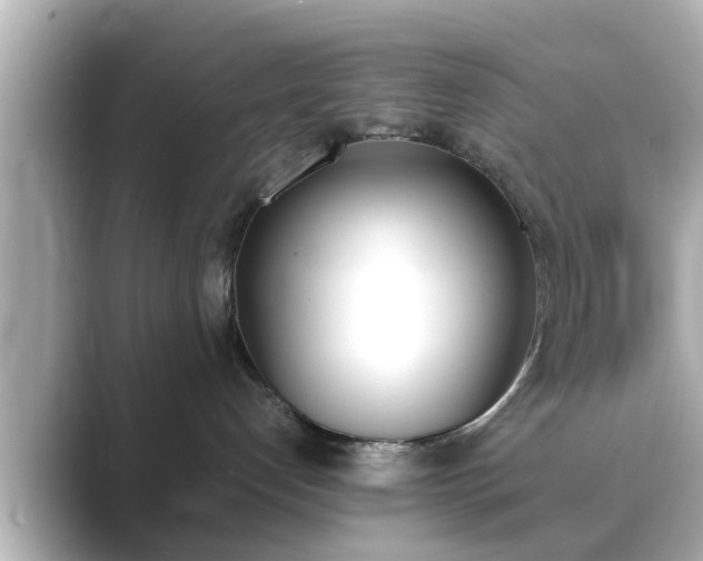 X0000089400192200706221124