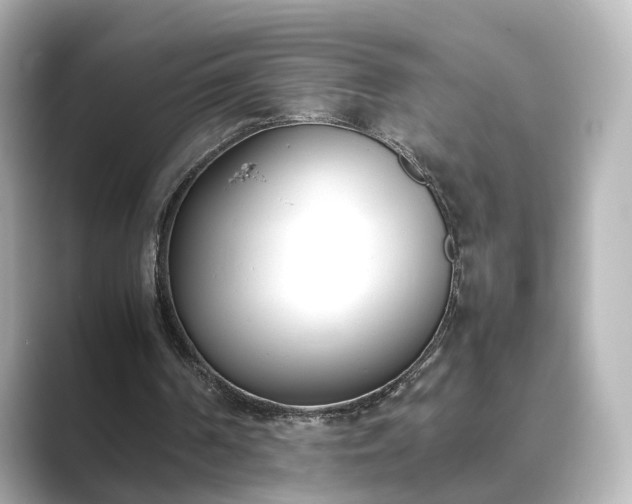 X0000089400194200706221123