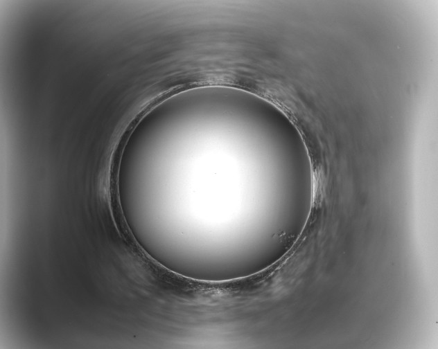 X0000089400195200706221123