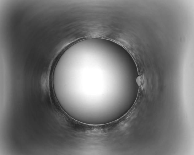 X0000089400196200706221123