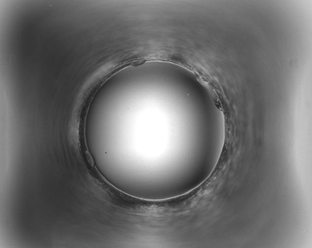 X0000089400197200706221123