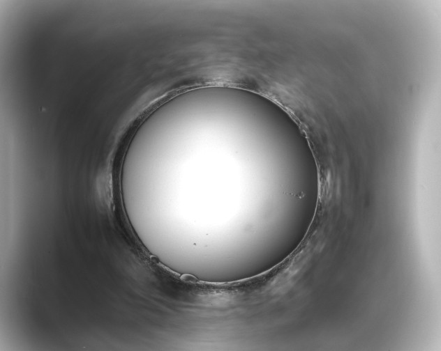 X0000089400198200706221123