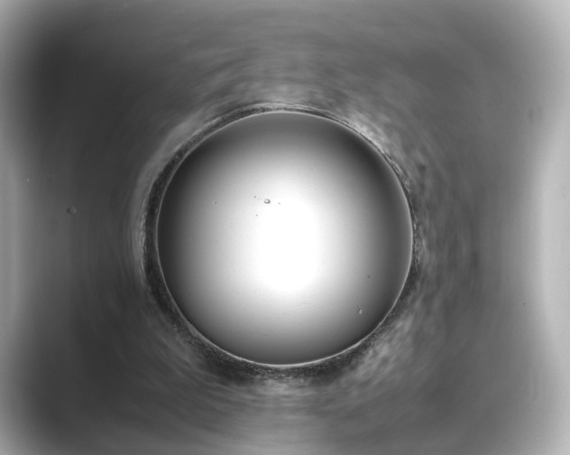 X0000089400199200706221123