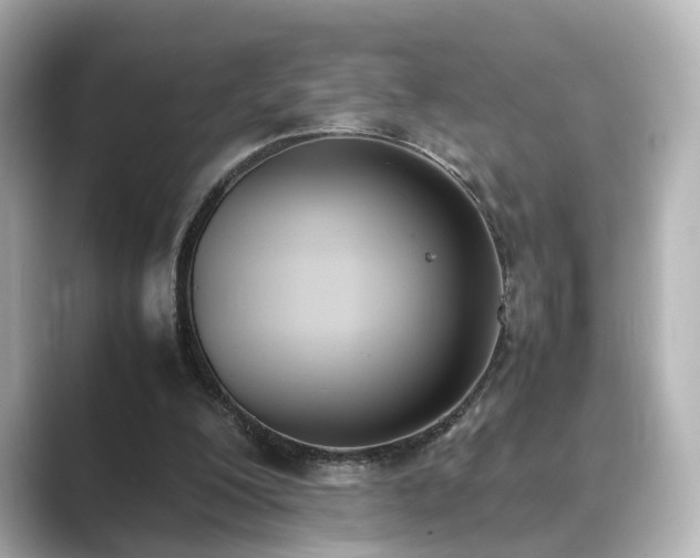 X0000089400200200706221123