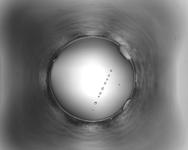 X0000089400201200706221123