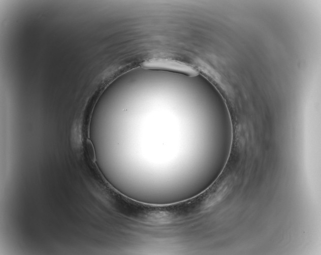 X0000089400203200706221123