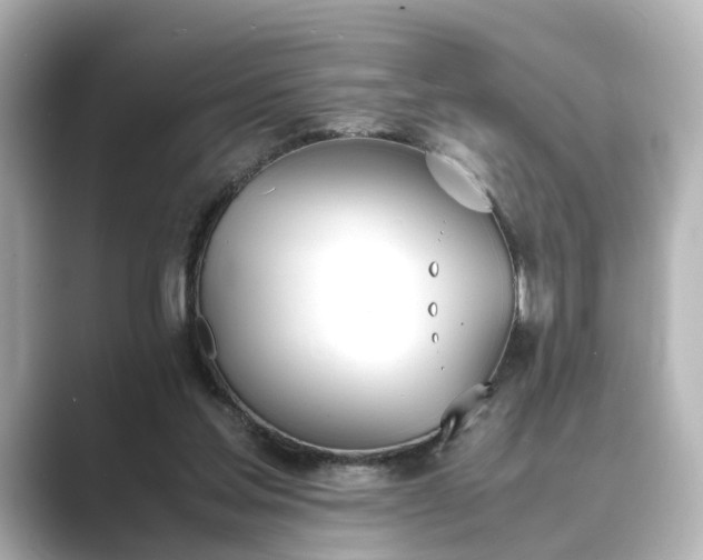 X0000089400205200706221123