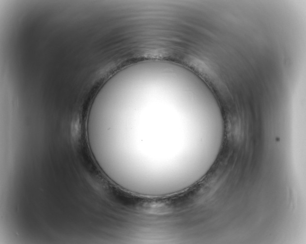 X0000089400208200706221123