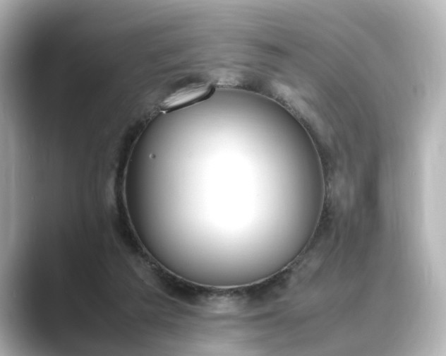 X0000089400209200706221123