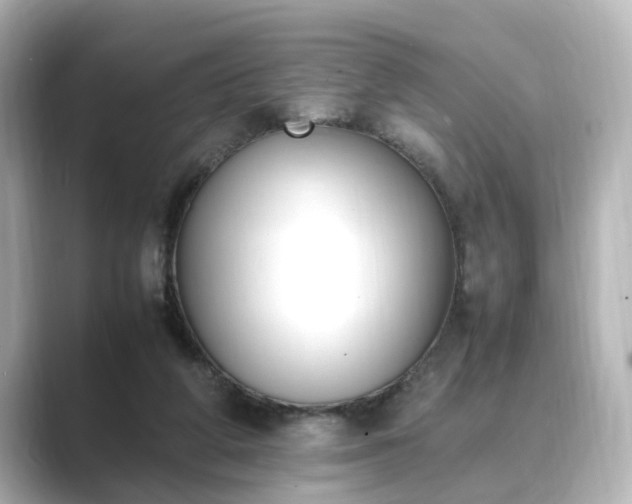 X0000089400210200706221123