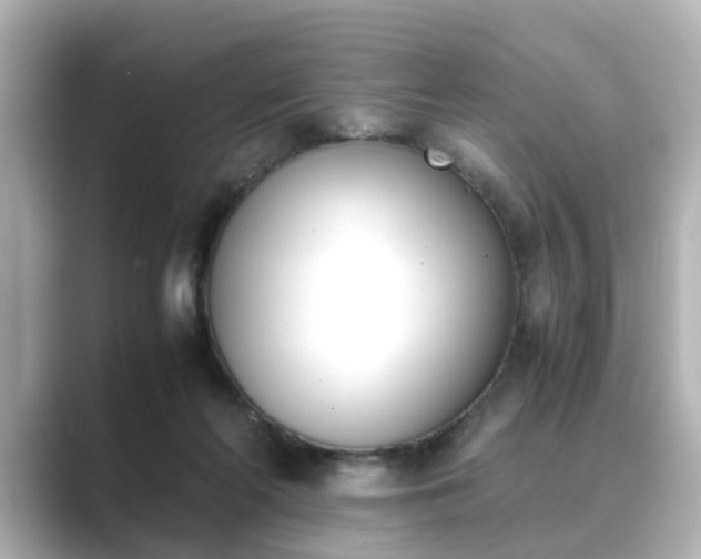 X0000089400214200706221123