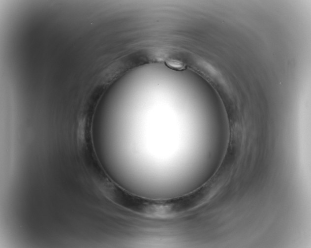 X0000089400217200706221123