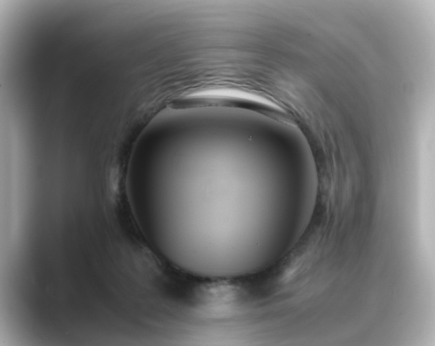 X0000089400219200706221123