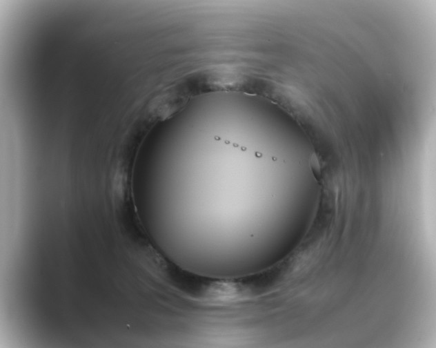 X0000089400227200706221123