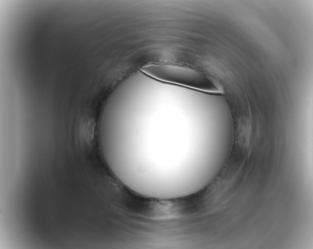 X0000089400230200706221123