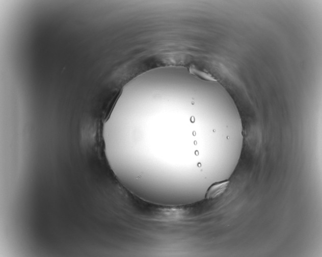 X0000089400233200706221123