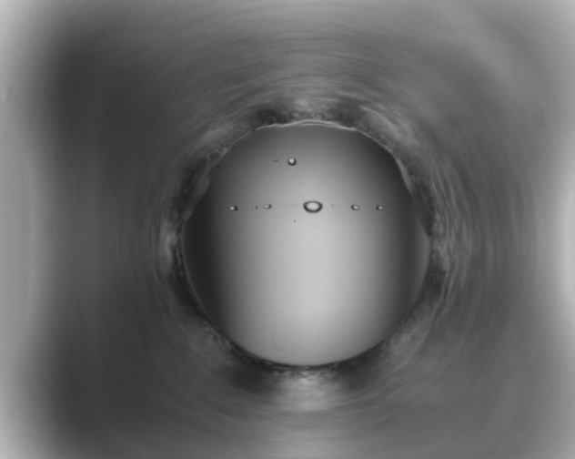 X0000089400235200706221123