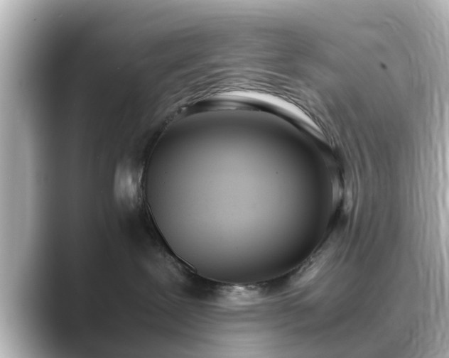 X0000089400239200706221123